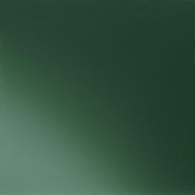 Mahunasto zelena 6005 - Slika