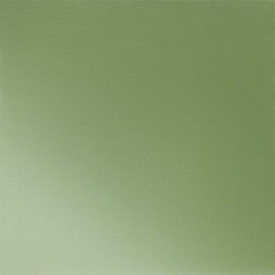 Travnato zelena 6011 - Slika