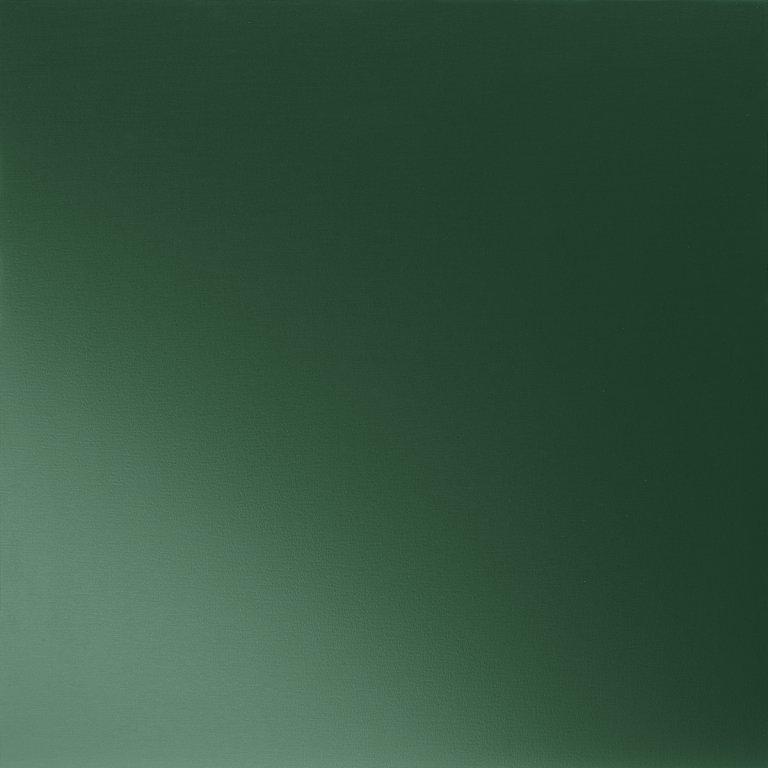 Mahunasto zelena  6005  -  Pocink obojeni  -  Slika