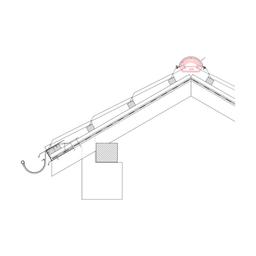 Čelo sljemenjaka  - Pocink obojeni  - Slonova kost  -  Slika 2