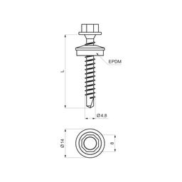 Pocinčani samorezni vijak - Pocink obojeni - Slonova kost - Slika 2