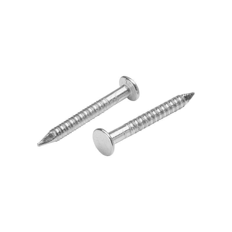 Konveksni čavao ljepenkar  - Pocink  - Natur  -  Slika