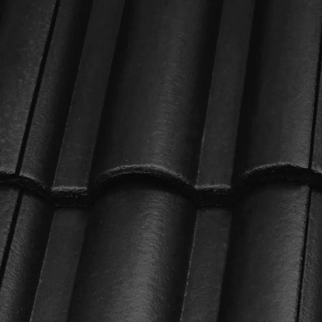 Slika - Ventilirajući crijep DANUBIAnull