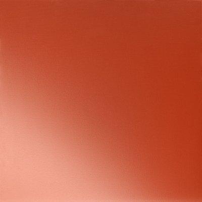 Rally crvena 3020 - Slika